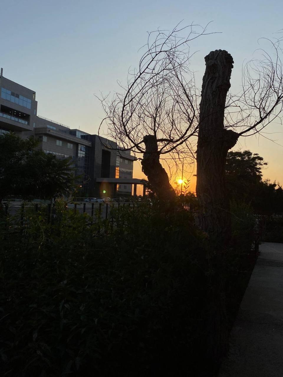 Mang'O Hostel Aktau  Bagian luar foto